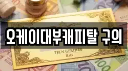 오케이대부캐피탈 구의