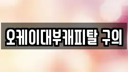 오케이대부캐피탈 구의