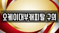 오케이대부캐피탈 구의