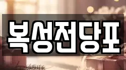 복성전당포