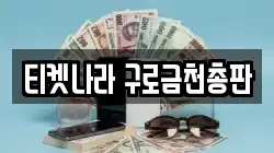 티켓나라 구로금천총판