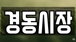 경동시장
