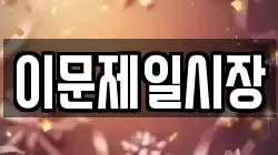 이문제일시장