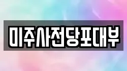 미주사전당포대부