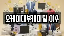 오케이대부캐피탈 이수