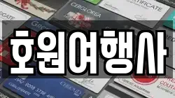 호원여행사