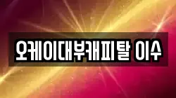 오케이대부캐피탈 이수