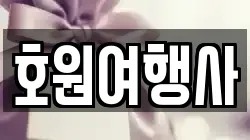 호원여행사