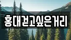홍대걷고싶은거리