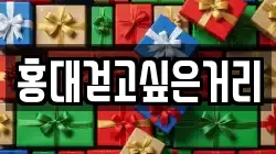 홍대걷고싶은거리