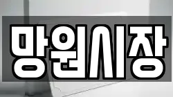 망원시장