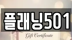 플래닝501