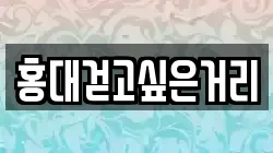 홍대걷고싶은거리