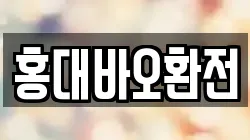 홍대바오환전