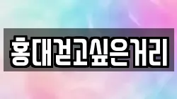 홍대걷고싶은거리