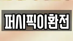 퍼시픽이환전