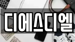 디에스디엘