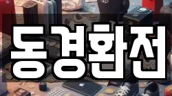 동경환전