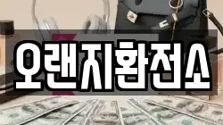 오랜지환전소