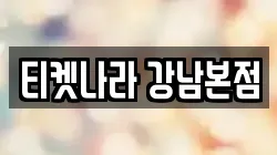 티켓나라 강남본점