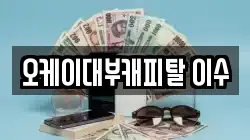 오케이대부캐피탈 이수