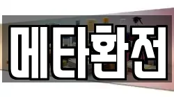 메타환전
