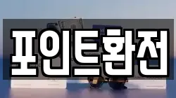 포인트환전