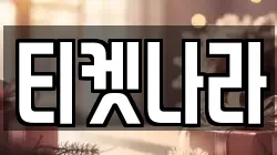티켓나라