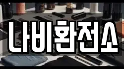 나비환전소