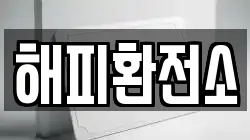 해피환전소