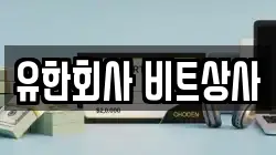 유한회사 비트상사