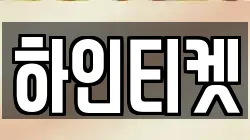 하인티켓
