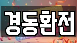 경동환전