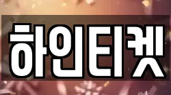하인티켓