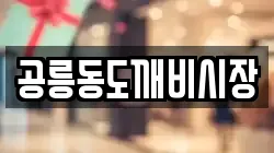 공릉동도깨비시장