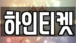 하인티켓
