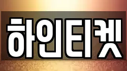 하인티켓