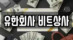 유한회사 비트상사