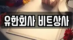 유한회사 비트상사
