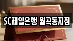 SC제일은행 월곡동지점