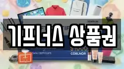 기프너스 상품권