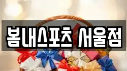 봄내스포츠 서울점