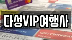 다성VIP여행사