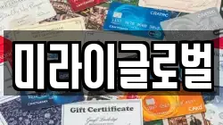 미라이글로벌