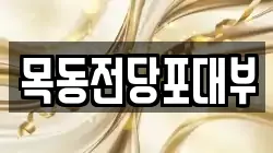 목동전당포대부