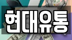 현대유통