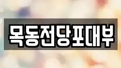 목동전당포대부