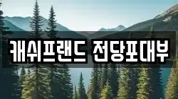 캐쉬프랜드 전당포대부