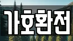가호환전