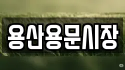 용산용문시장